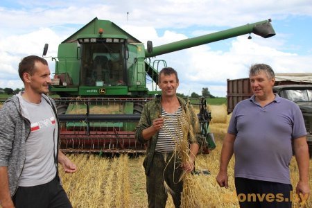 В ОАО «Сеньковщина» начали уборку зерновых