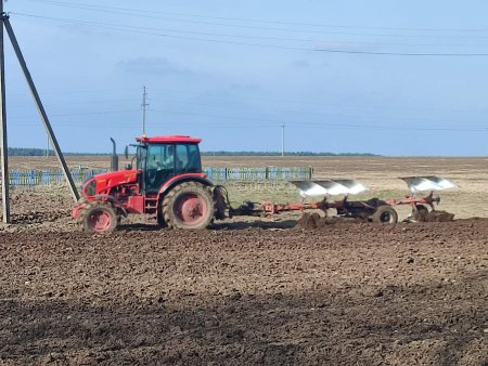 Продолжаются работы по вспахиванию почвы в ОАО "Сеньковщина"