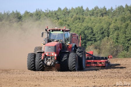 В Беларуси озимые зерновые посеяны почти на половине запланированных площадей — Минсельхозпрод